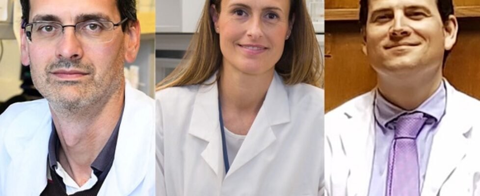 Ganadores 3ª edición Premios a la Investigación FJS