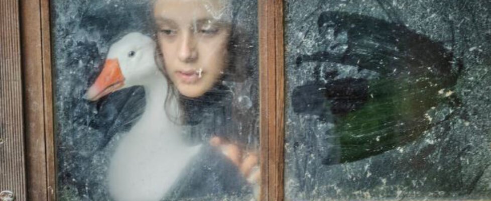 ImagenArmoníarecorte