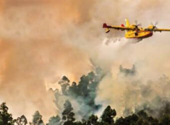 salvemos bosques axa