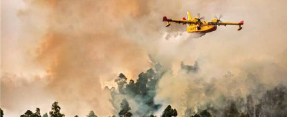 salvemos bosques axa