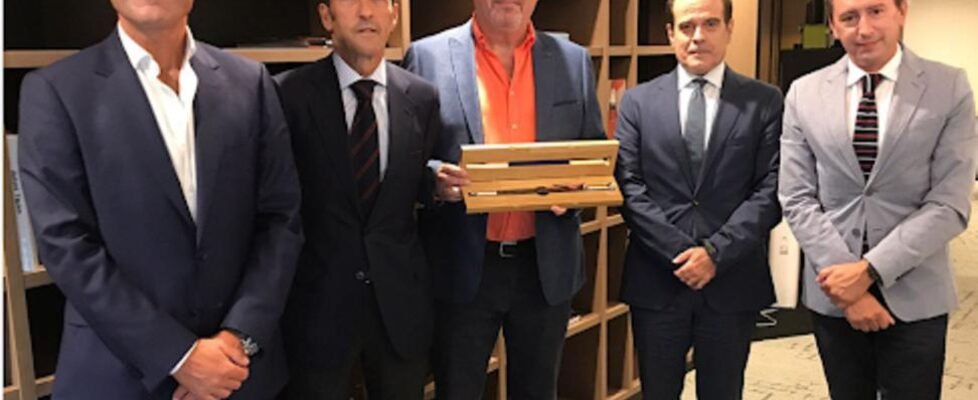 Surne_Espabrok_Silvino-mitchell