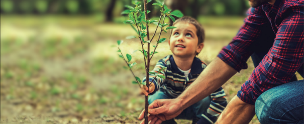 helvetia memoria RSC