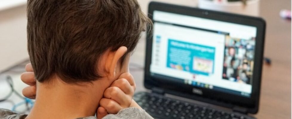 Allianz Partners portátiles