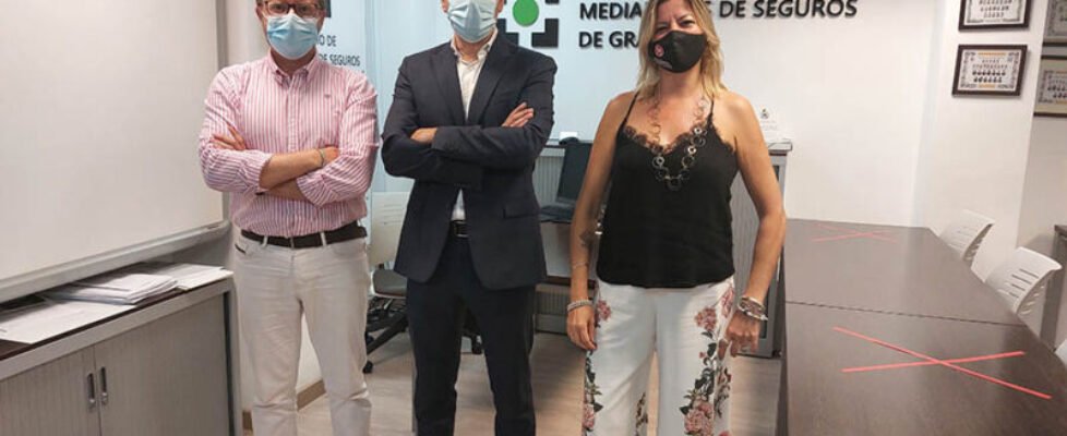 Mapfre Colegio Granada