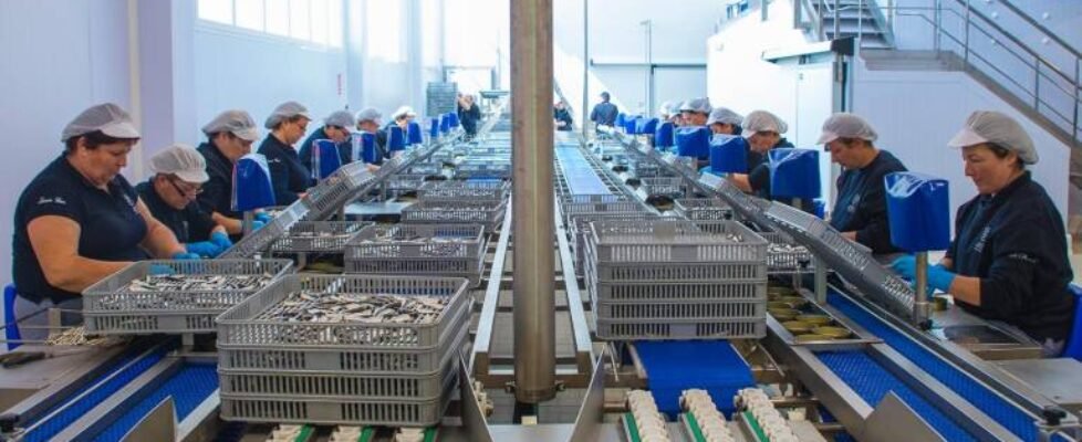 Willis trabajadores incremento salarial