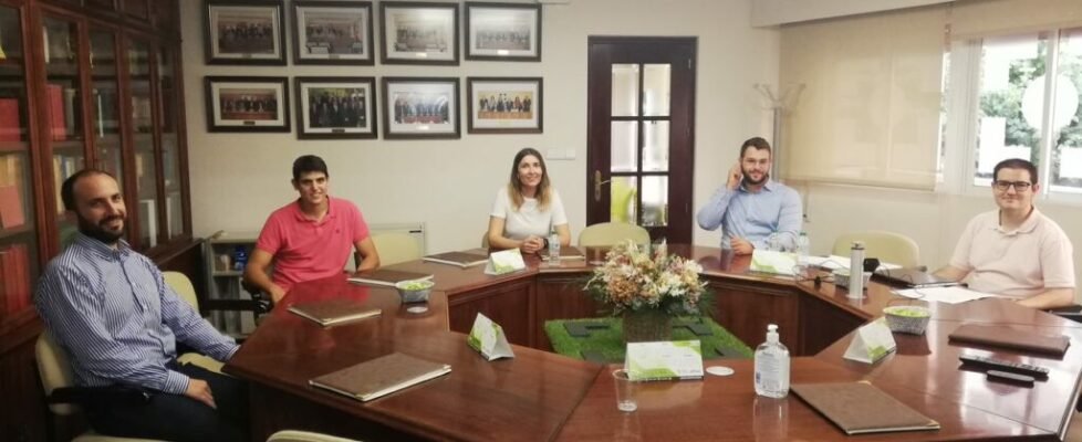 Colegio Alicante jovenes