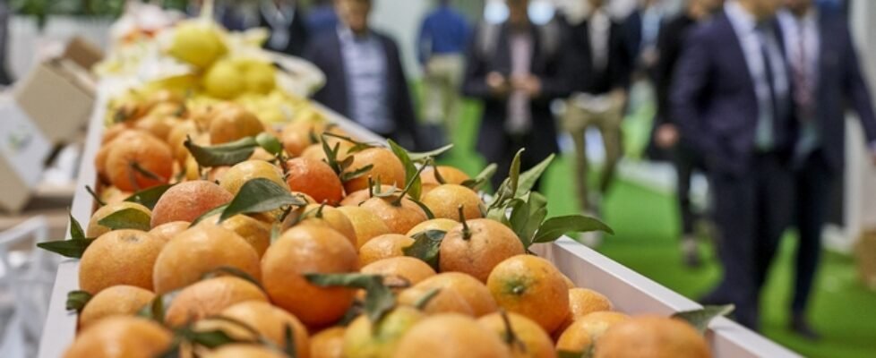 Crédito y Caución Fruit Attraction