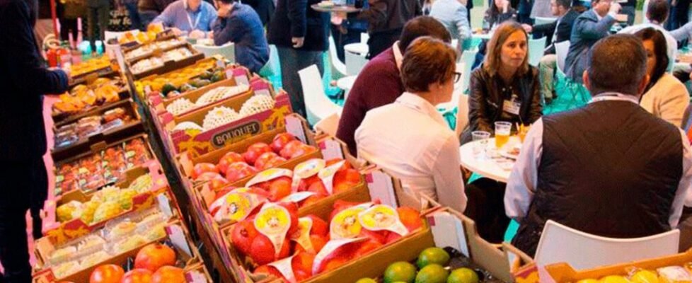 Solunion Fruit Attraction