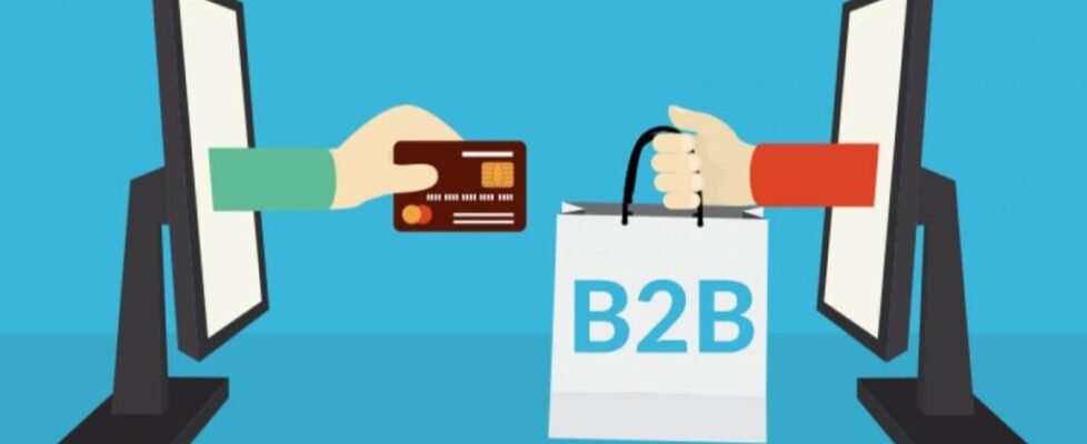 Credito y Caución B2B