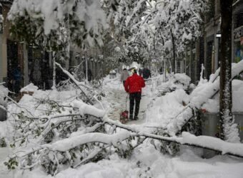 Fundación Aon Filomena