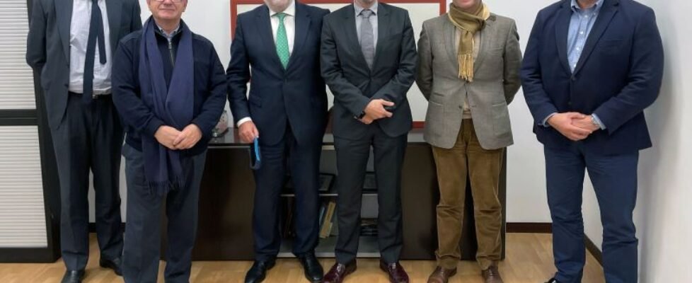 AEMES redes sociales