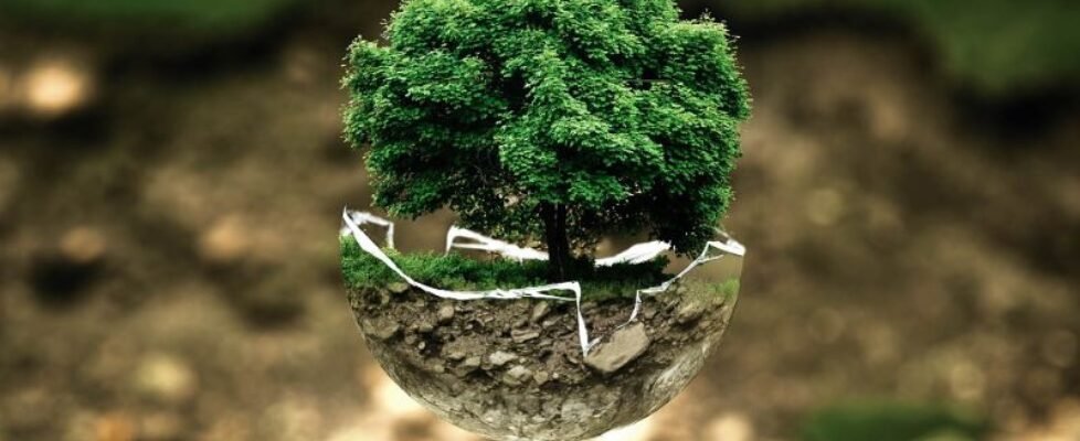 AIG responsabilidad medioambiental