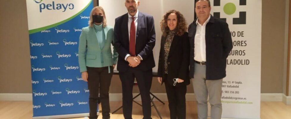 Colegio Valladolid Pelayo