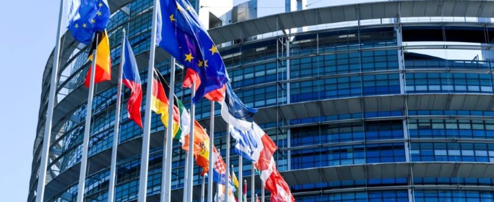 Consejo General DORA