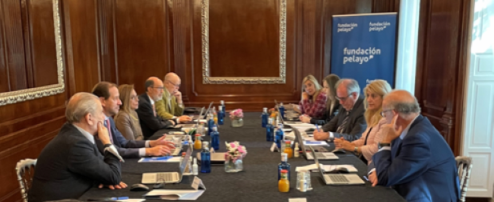 Fundación Pelayo Reunión Patronato