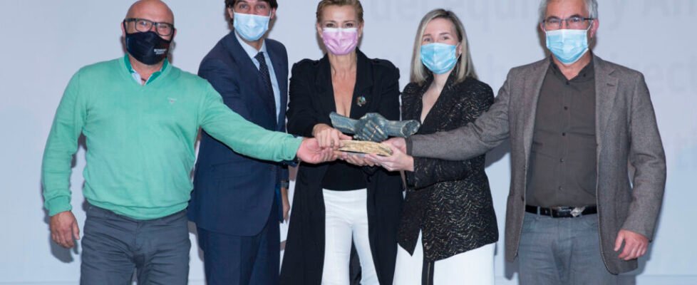 Mapfre Fundación Diversidad