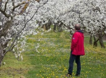Agroseguro frutales La Rioja