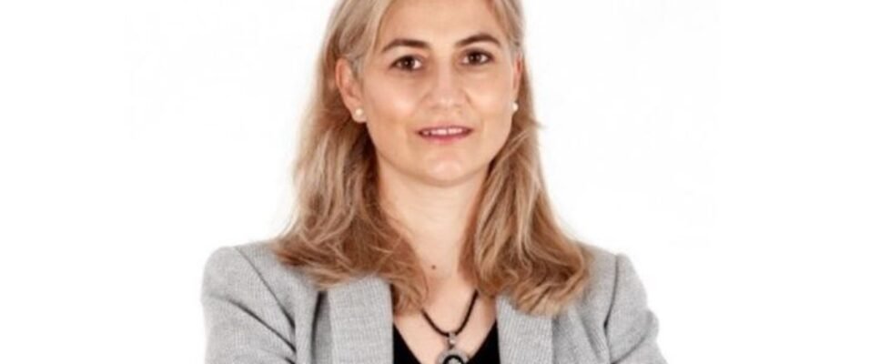 COLEGIO-DE-VALLADOLID-1