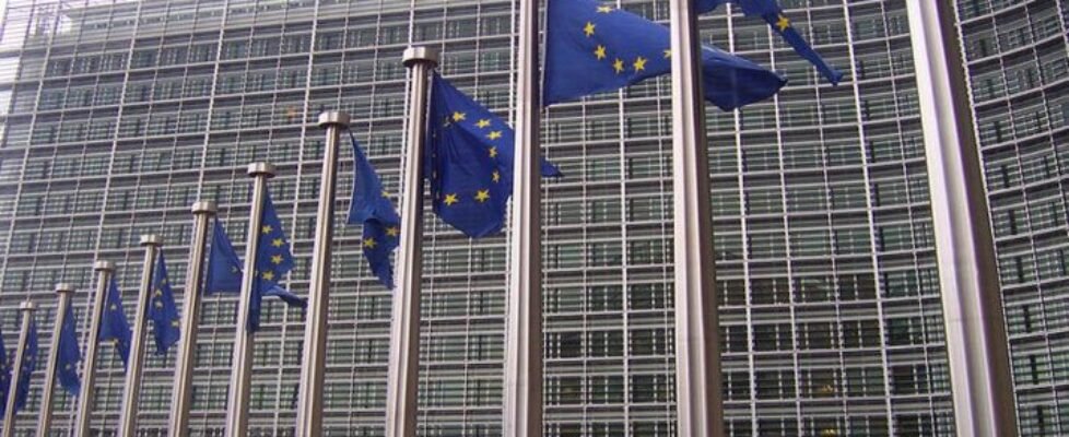 Codeoscopic Next Generation