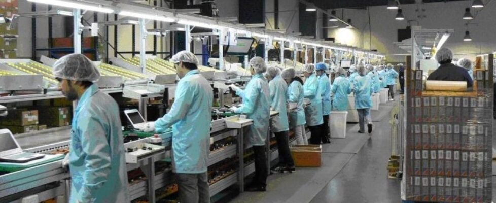 Crédiro y Caución empresas