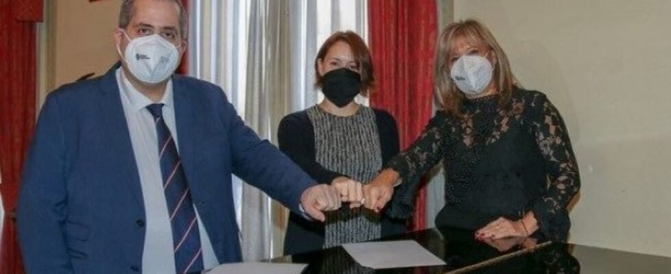 Colegio Alicante Musepan