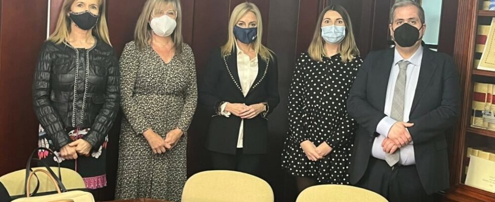 Colegio de Alicante y AEFA