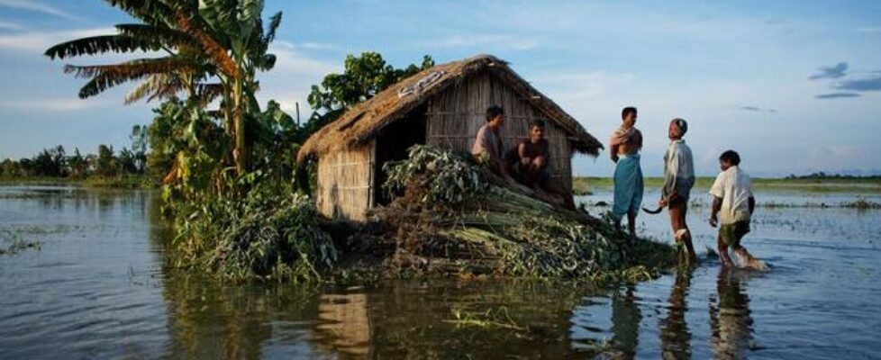 Crédito y Caución caje deuda