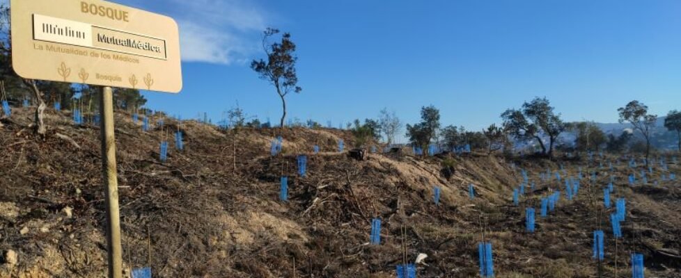 Mutual Médica bosque