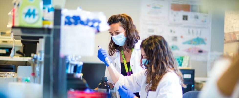 XIX Ayudas a la Investigación en Salud