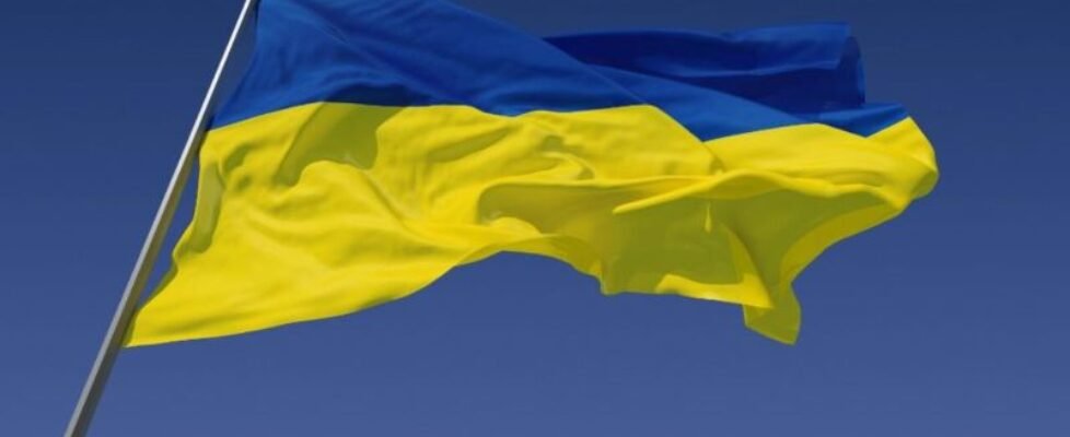 Apoyo mediadores Ucranianos