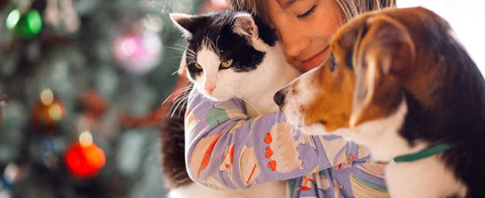 The pretty girl embarcing cat and dog