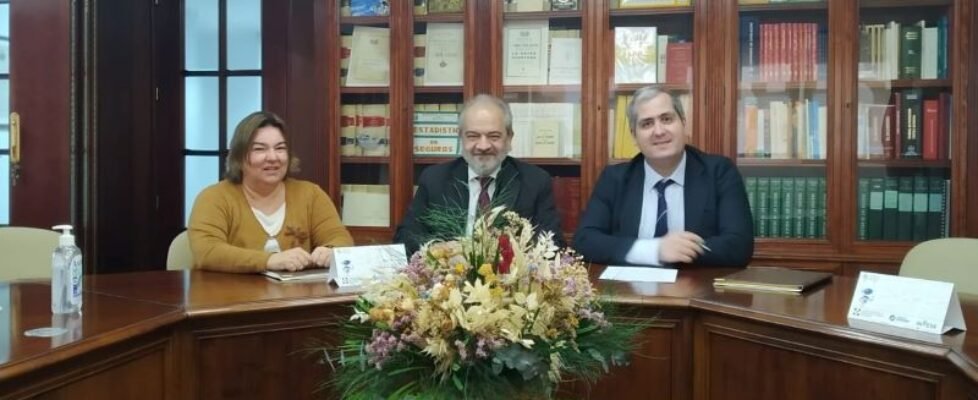 Mutua Levante Colegio Alicante