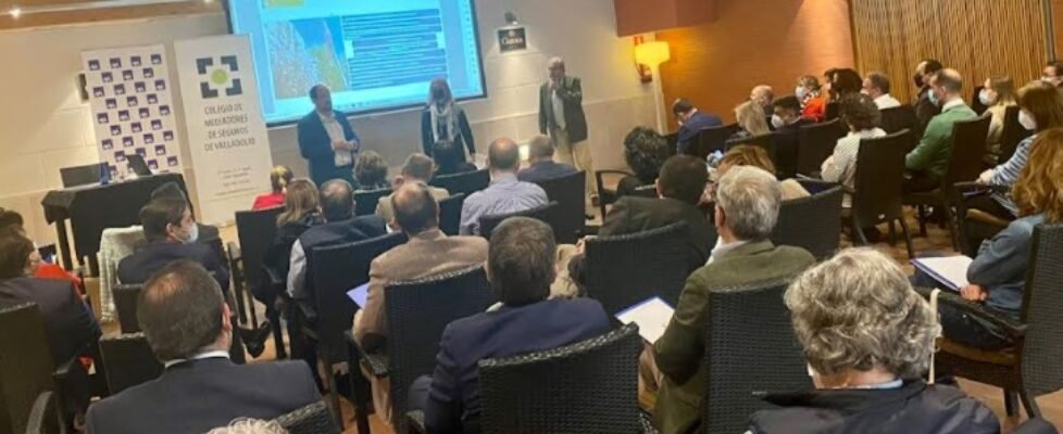 colegio mediadores valladolid