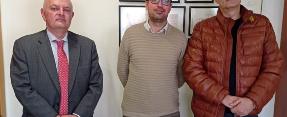 summa-gine_asessors (002)