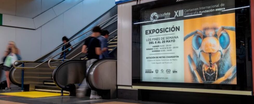 NP_Expo-XIII-Certamen-ASISAFoto_20220520