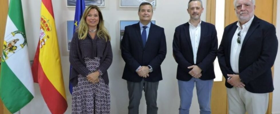 ceu-andalucia-aemes-1024x715