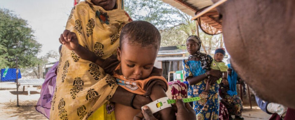 Diffa, Niger: a region devastated by the Boko Haram crisis