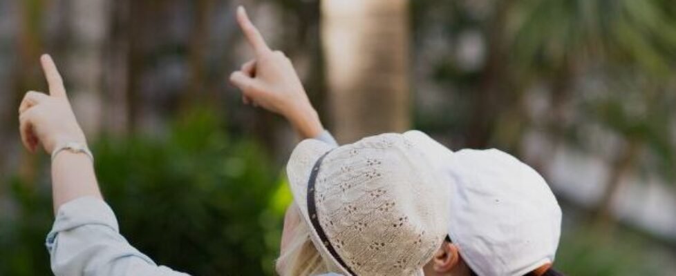 OMT- Allianz Partners (1)