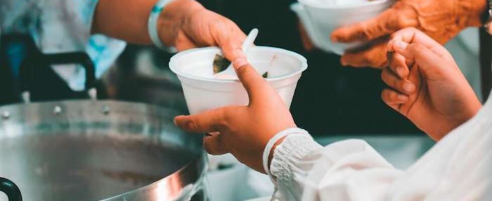 AMA_fundacion_v01 copia