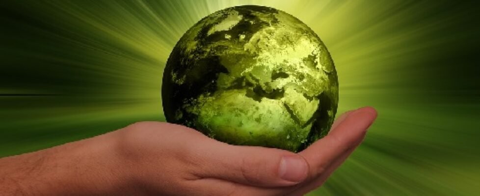 sostenibilidad-ecología-verde