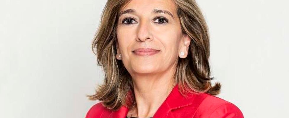 unespa Mirenchu del Valle Schaan secretaria general de UNESPA - 01 (media) (002)