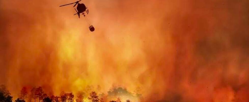 zurich forestal Incendio (002)