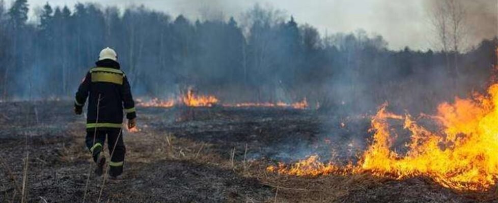 axa incendio forestal