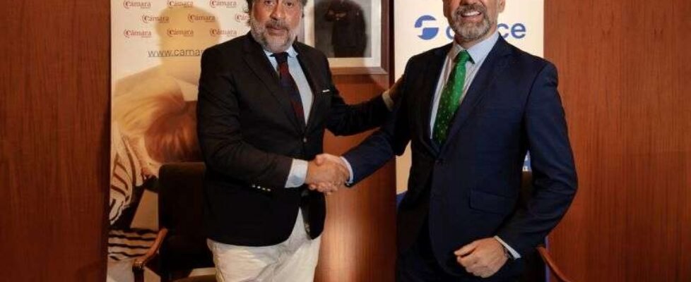 Cesce-Cámara Madrid (1)