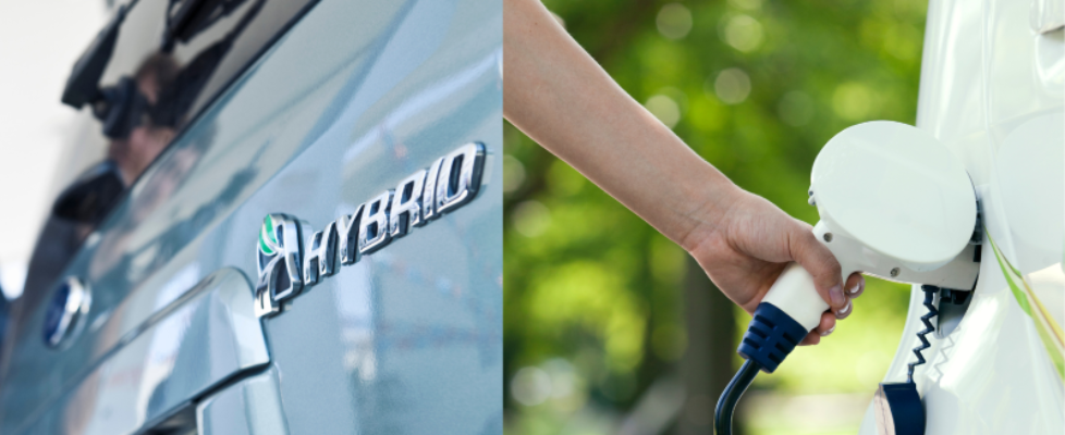 GARANTIPLUS NUEVOS PRODUCTOS