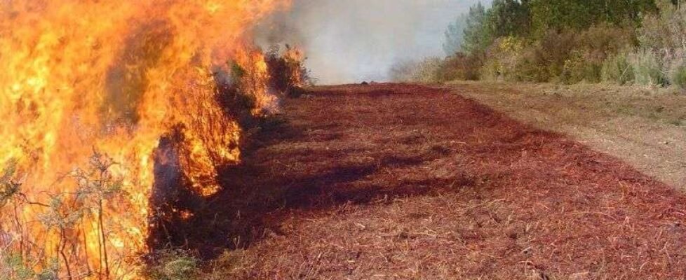 incendios forestales Copia de Rodeiro 17_03_07 (19)