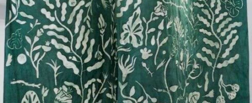 platano_de_sombra_01