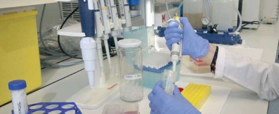 Dia-Mundial-Investigacion-Cancer-1200x675