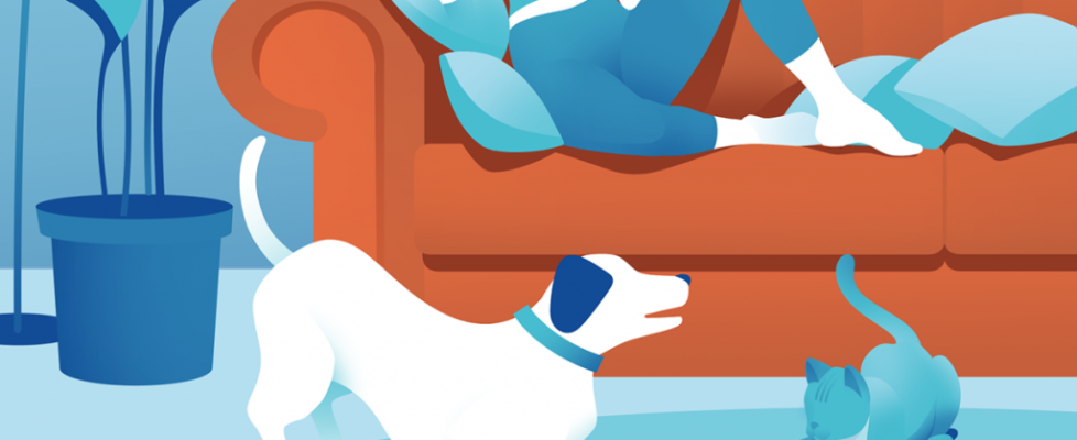 NP ASISA_videoconsulta mascotas_20221201