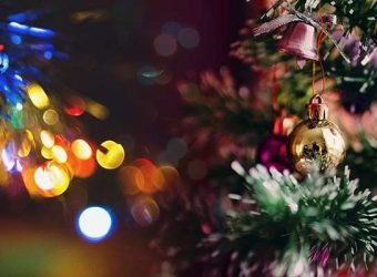 Navidad 2022-800x400 px (002)